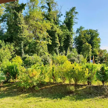 公寓 One Bedroom With Shared Pool And Wifi At