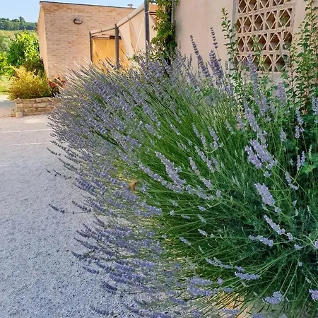 公寓 One Bedroom With Shared Pool And Wifi At Montalto delle Marche